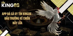 App Đá Gà Uy Tín KING88 - Đấu Trường Kê Chiến Nảy Lửa