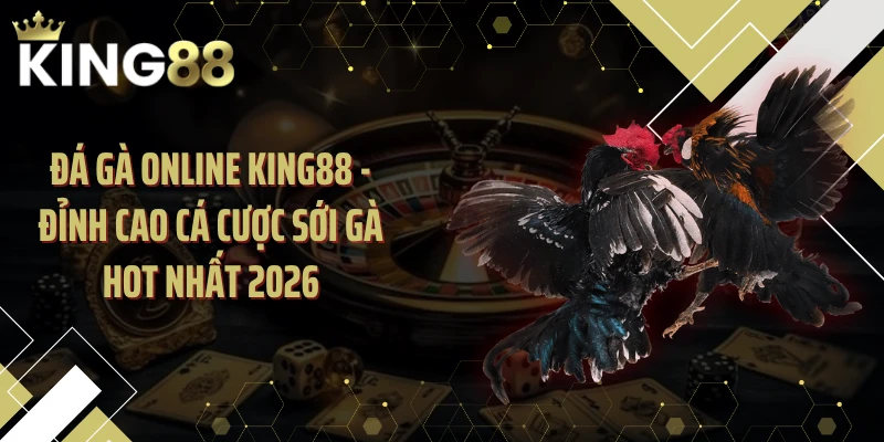 Đá Gà Online KING88 - Đỉnh Cao Cá Cược Sới Gà Hot Nhất 2026