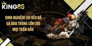Kinh Nghiệm Soi Kèo Đá Gà Bao Trúng Lớn Cho Mọi Trận Đấu 