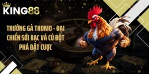 Trường Gà Thomo - Đại Chiến Sới Bạc Và Cú Đột Phá Đặt Cược